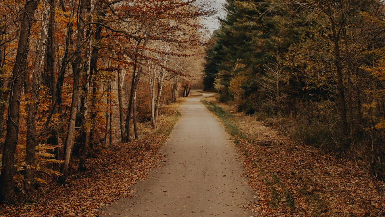Ground. Pause. Return